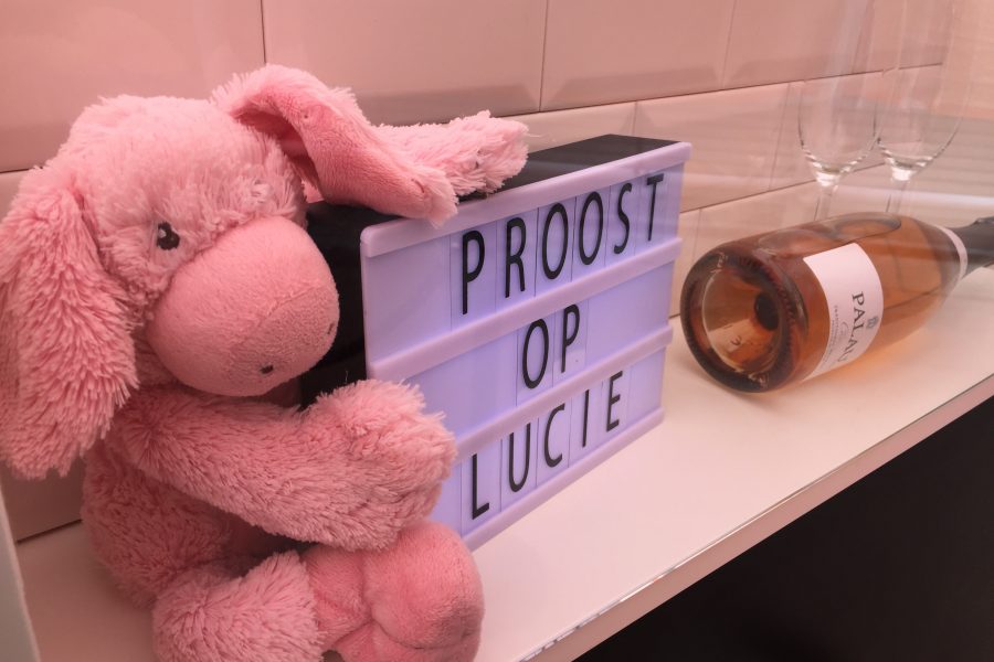 Baby borrel