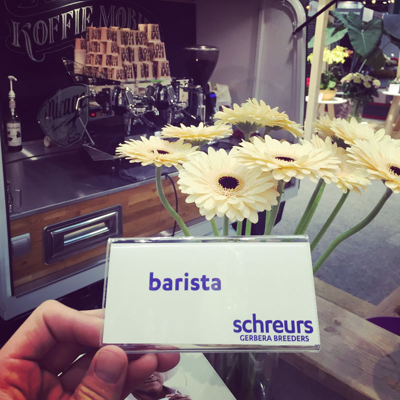 De Barista Gerbera op de trade fair
